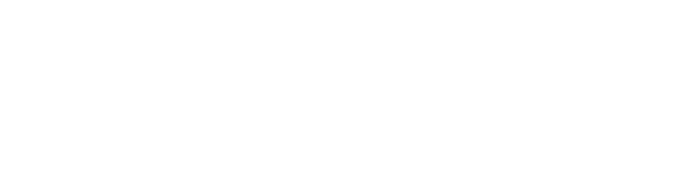 Nieuwkomersregistratie Staging